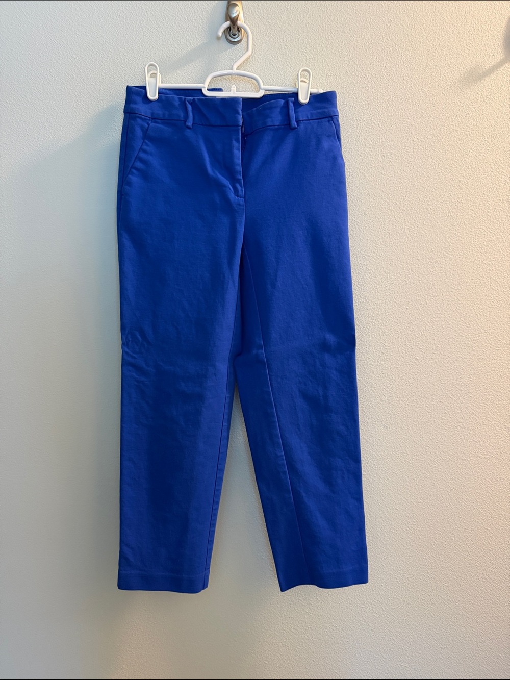 LOFT Royal Blue Pants
